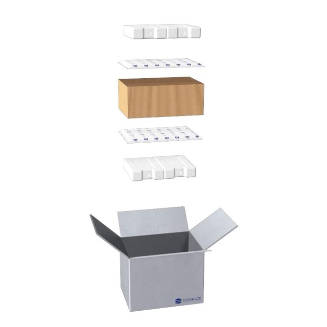 Lipbox Tempack SingleUse Packaging & Cold Chain Solutions