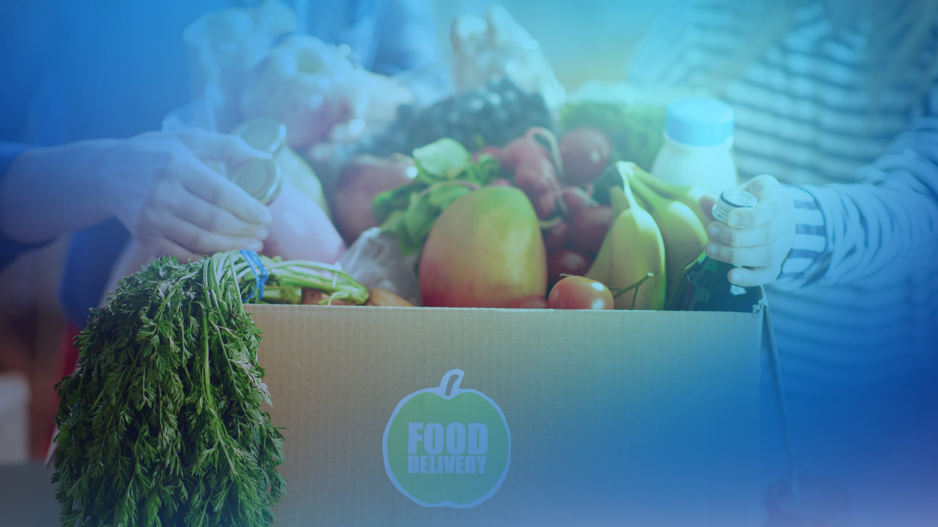 Tempack Thermal Packaging & Cold Chain Shipping Solutions